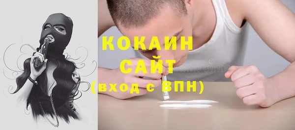 соль ск Алексин
