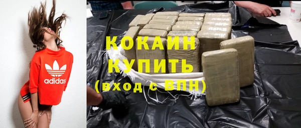 соль ск Алексин