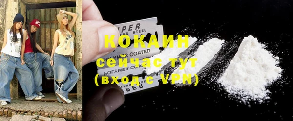 соль ск Алексин
