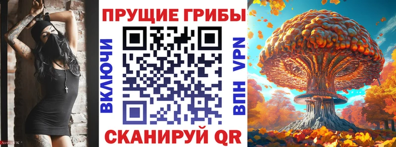 Псилоцибиновые грибы GOLDEN TEACHER  это клад  Котельники 